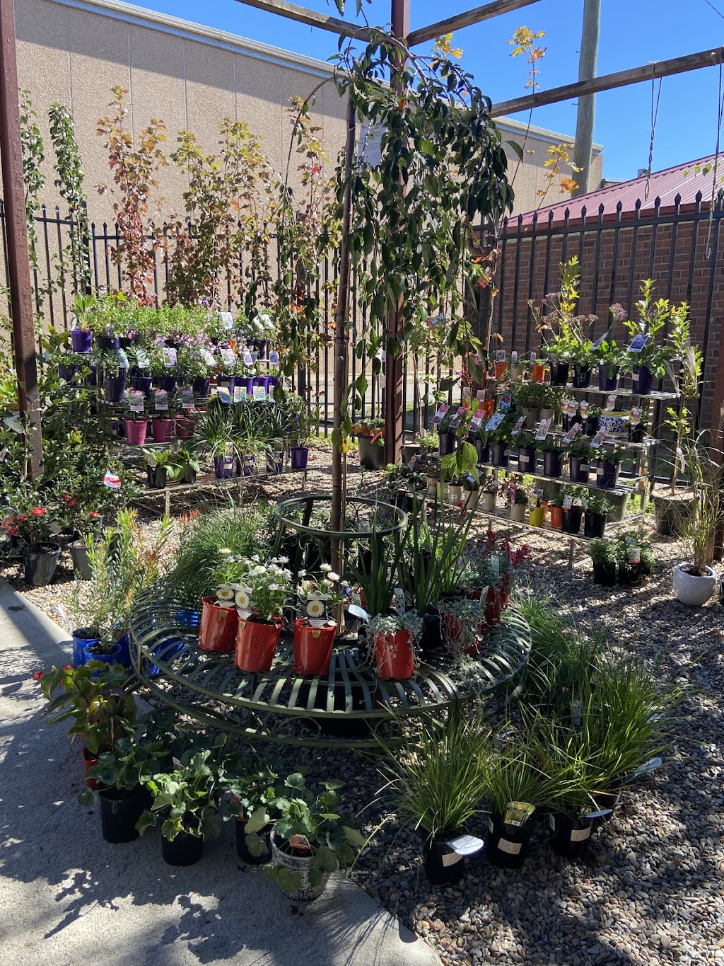 The Crookwell Nursery | 75 Goulburn St, Crookwell NSW 2583, Australia | Phone: 0422 525 620