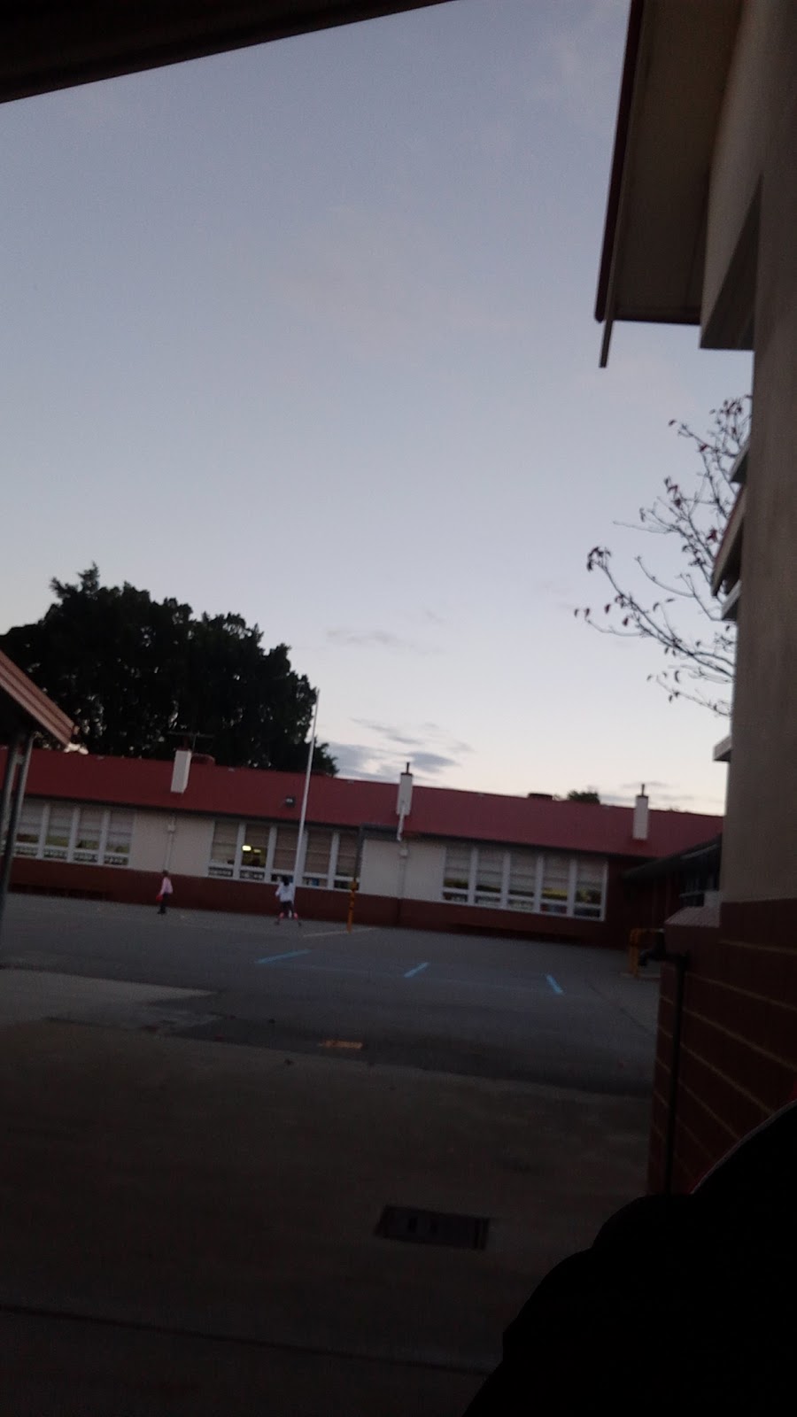 Mount Pleasant Primary School | school | Mount Pleasant Primary School, 29 Queens Rd, Mount Pleasant WA 6153, Australia | 0893161045 OR +61 8 9316 1045