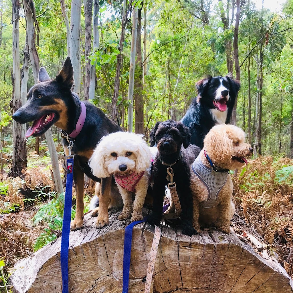 The Dog House Farm Stay | 46 Lawrie Rd, Beechworth VIC 3747, Australia | Phone: 0447 943 266