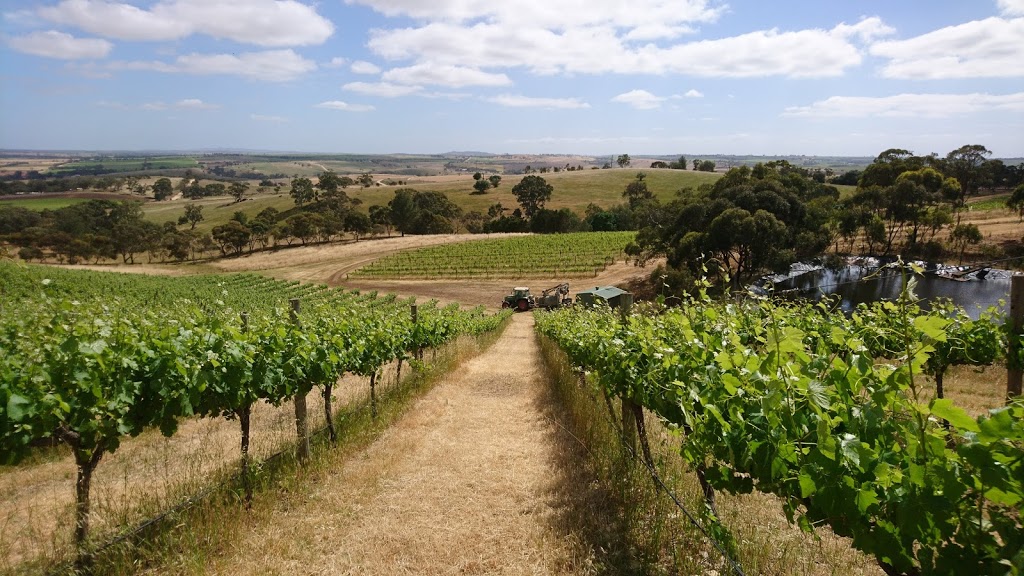 MOOLANDA Vineyard | 296 Rosedale Scenic Rd, Lyndoch SA 5351, Australia | Phone: 0409 693 828