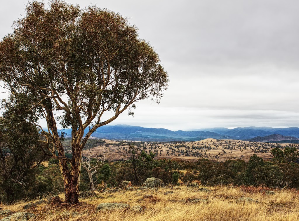 The Pinnacle Nature Reserve | park | Australian Capital Territory 2615, Australia