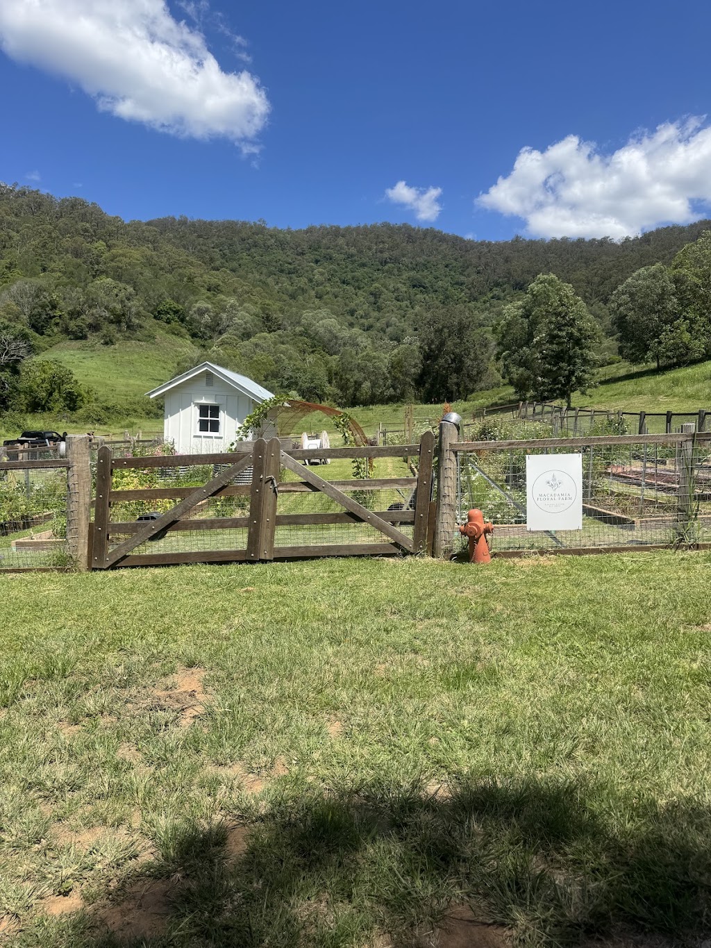 Macadamia floral farm | 52 Macadamia Dr, Laceys Creek QLD 4521, Australia | Phone: 0414 994 446