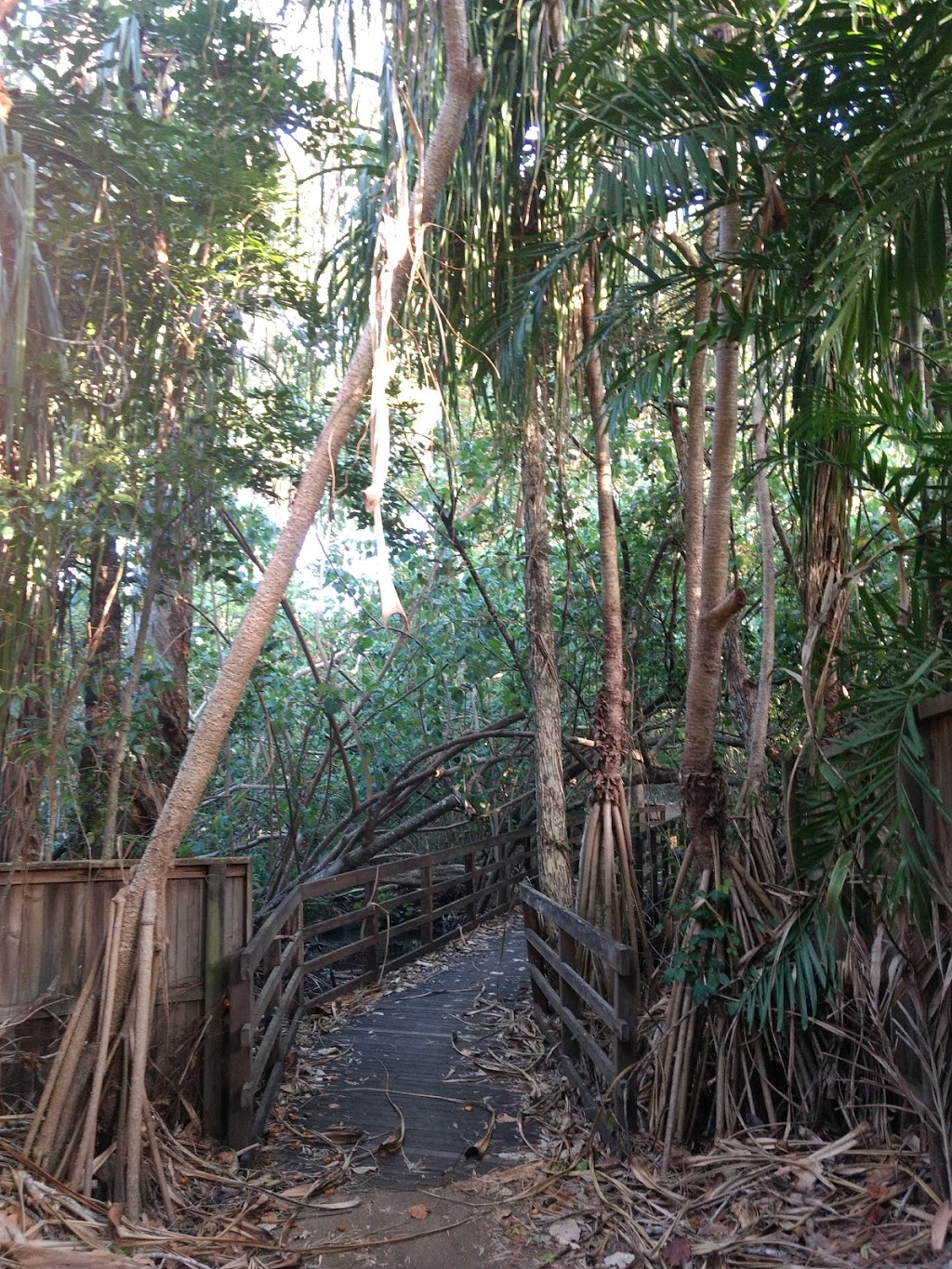 Four Mile Beach Park | park | Port Douglas QLD 4877, Australia