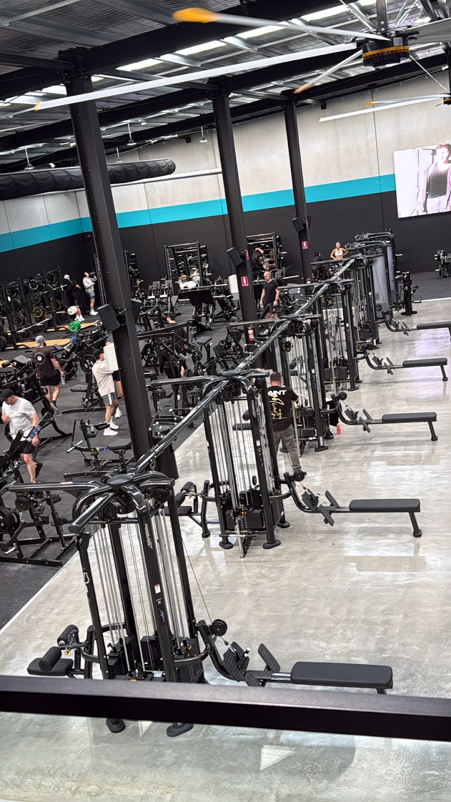 AREA365 Health & Fitness Traralgon | 14 Stirloch Cct, Traralgon East VIC 3844, Australia | Phone: 0400 368 365
