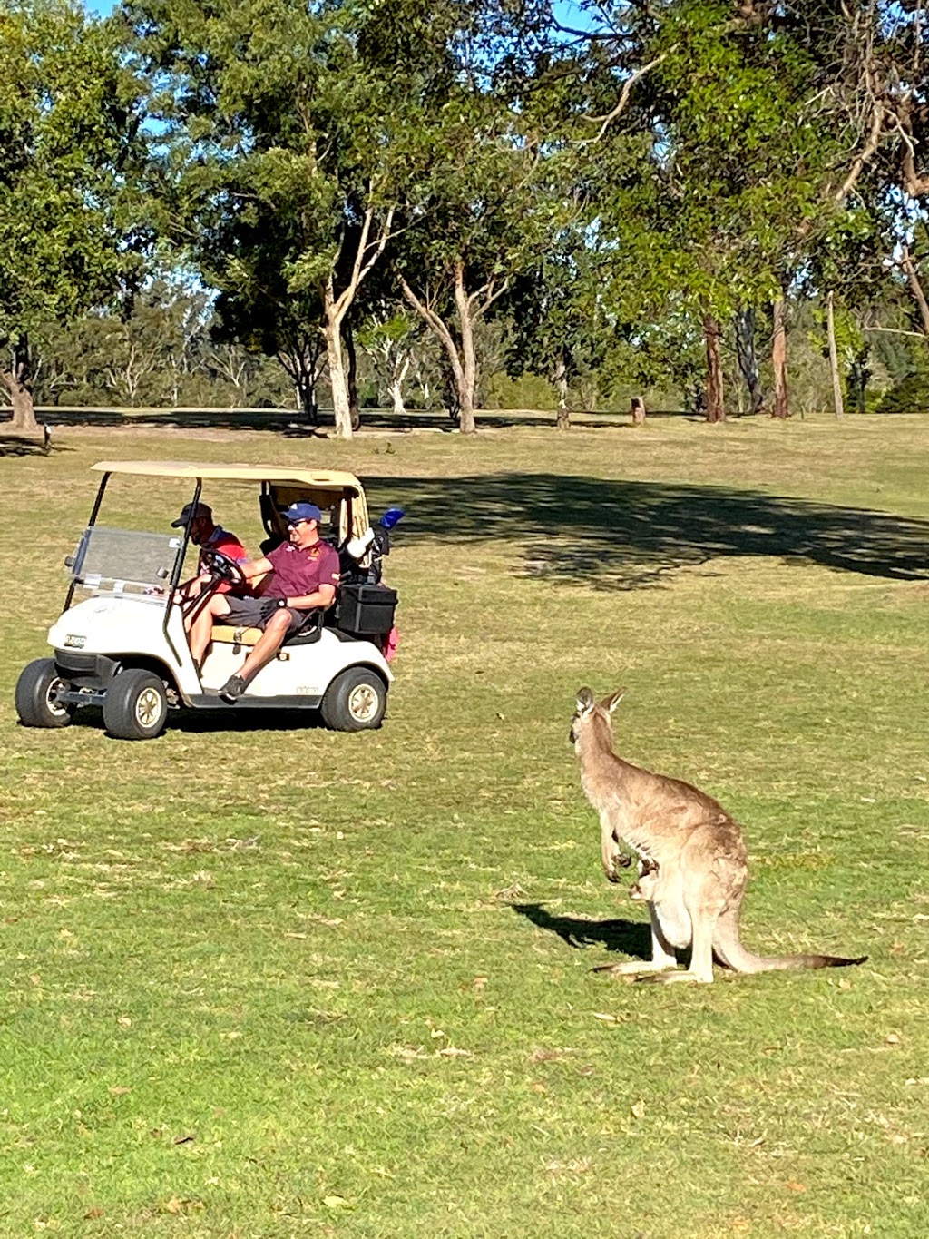 Woodford Golf Club | 2/82 Golf Course Rd, Woodford QLD 4514, Australia | Phone: (07) 5496 1004