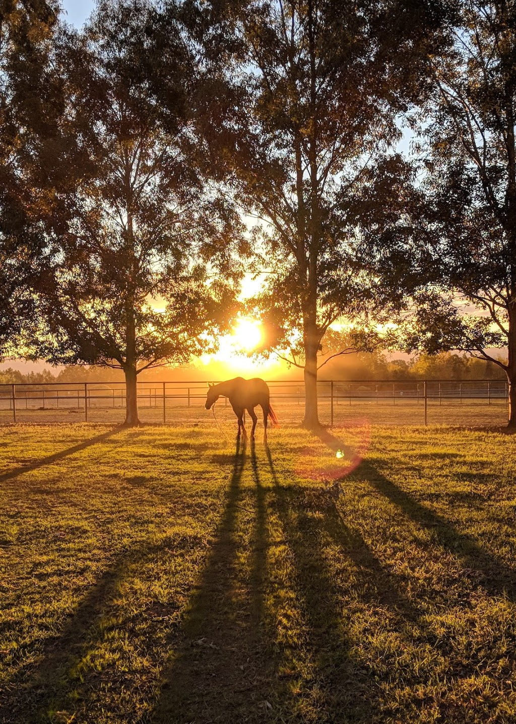 Camp Z | lodging | 1 Triangle Ln, Richmond Lowlands NSW 2753, Australia | 0439028205 OR +61 439 028 205