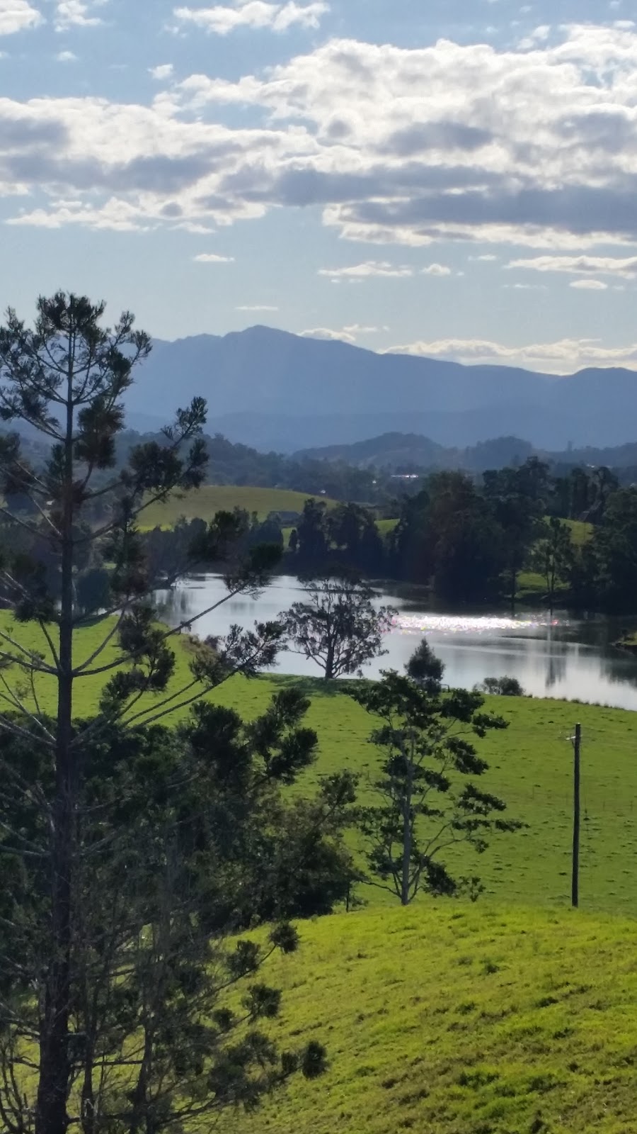 Tweed Regional Gallery & Margaret Olley Art Centre | 2 Mistral Rd, South Murwillumbah NSW 2484, Australia | Phone: (02) 6670 2790