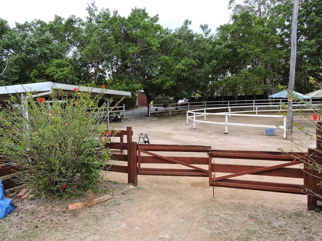 Mini Mates Miniature Horse and Pony Farm | 1222 Mount Cotton Rd, Burbank QLD 4156, Australia | Phone: (07) 3349 1910