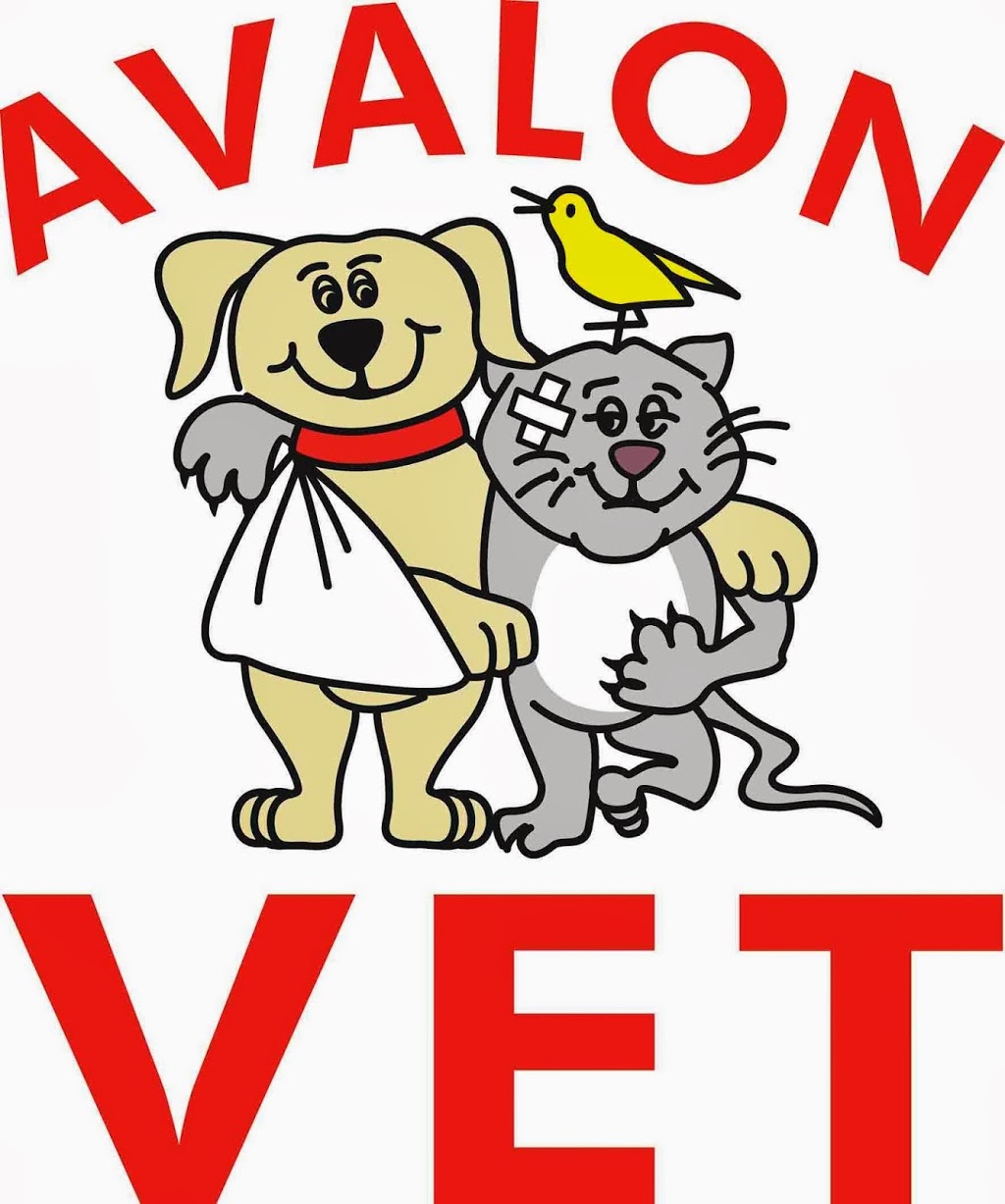Avalon Veterinary Hospital | veterinary care | 710 Barrenjoey Rd, Avalon Beach NSW 2107, Australia | 0299180833 OR +61 2 9918 0833
