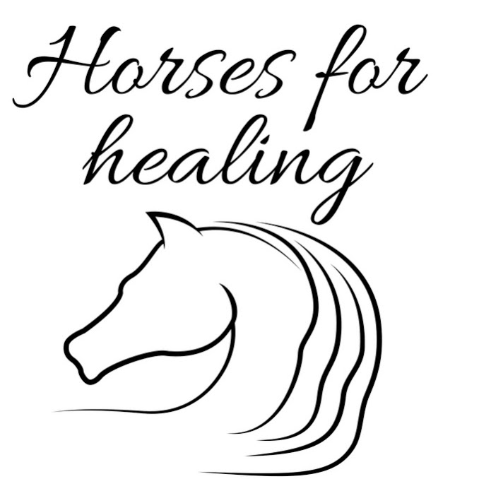 Horses for Healing | 663 Sussex Inlet Rd, Sussex Inlet NSW 2540, Australia | Phone: 0408 209 628