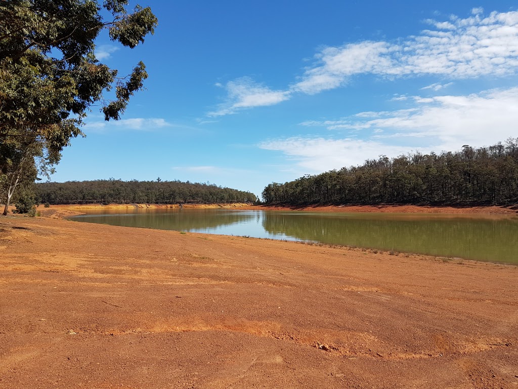 Dwellingup State Forest | Western Australia, Australia