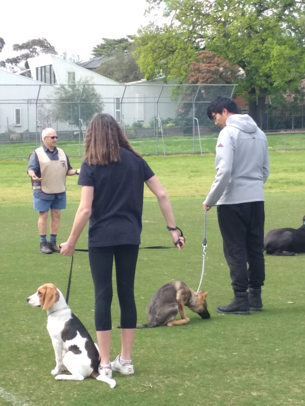 Dobermann & Dog Obedience Club Ltd | Electra Reserve, Ashwood VIC 3147, Australia | Phone: 0428 386 984