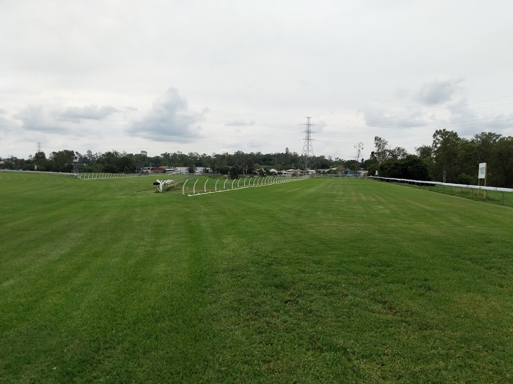 Ipswich Turf Club |  | 219 Brisbane Rd, Bundamba QLD 4304, Australia | 0732821500 OR +61 7 3282 1500