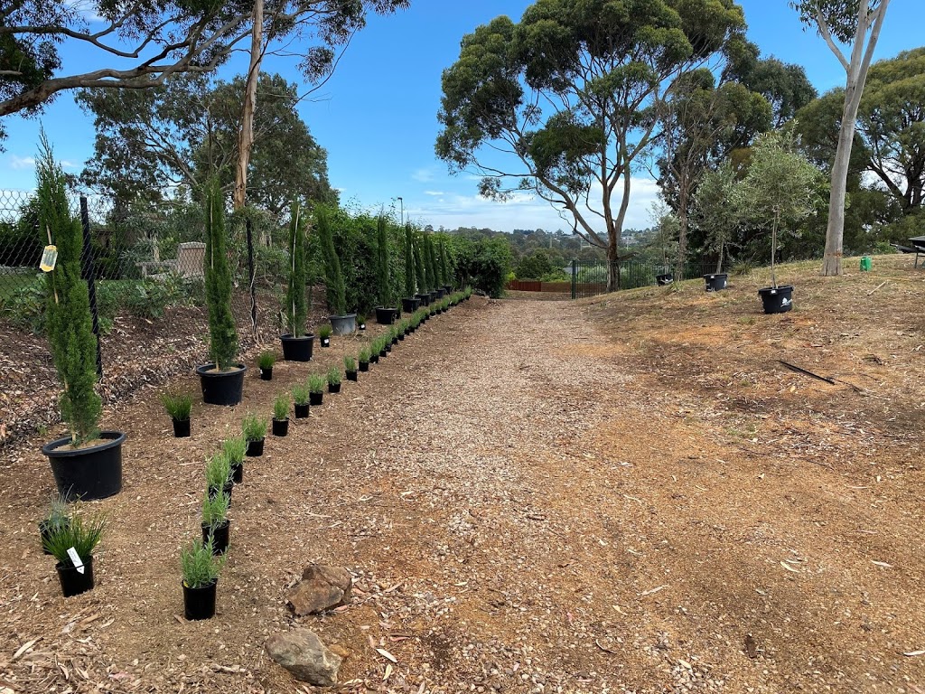 Lets Get Growing | Park Orchards VIC 3114, Australia | Phone: 0411 890 078