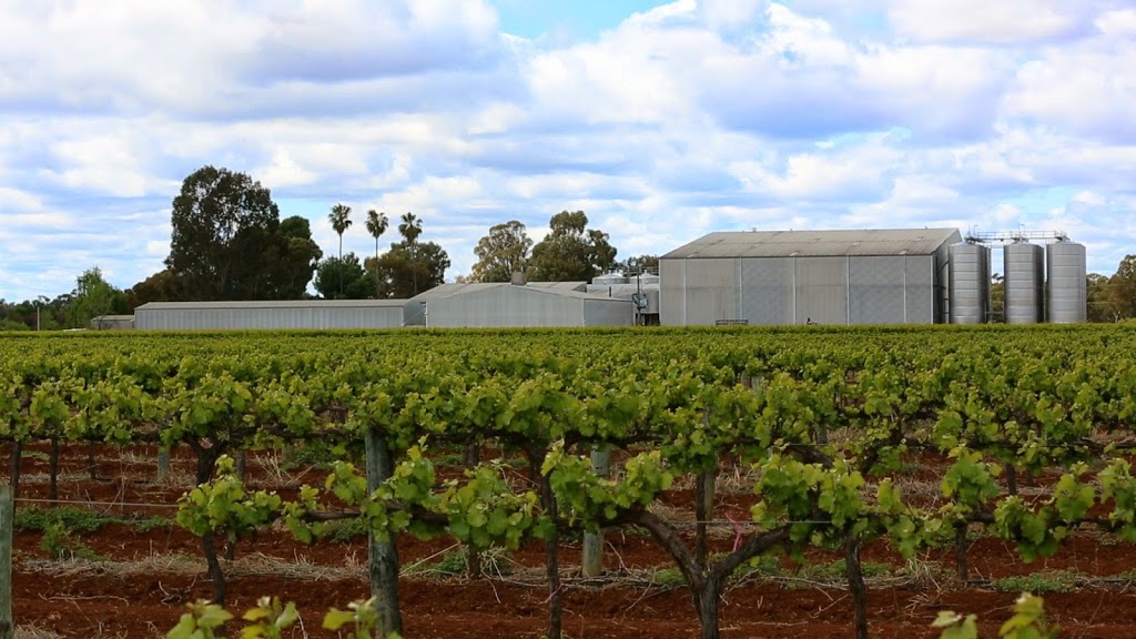 Toorak Winery | tourist attraction | 279 Toorak Rd, Leeton NSW 2705, Australia | 0269532333 OR +61 2 6953 2333