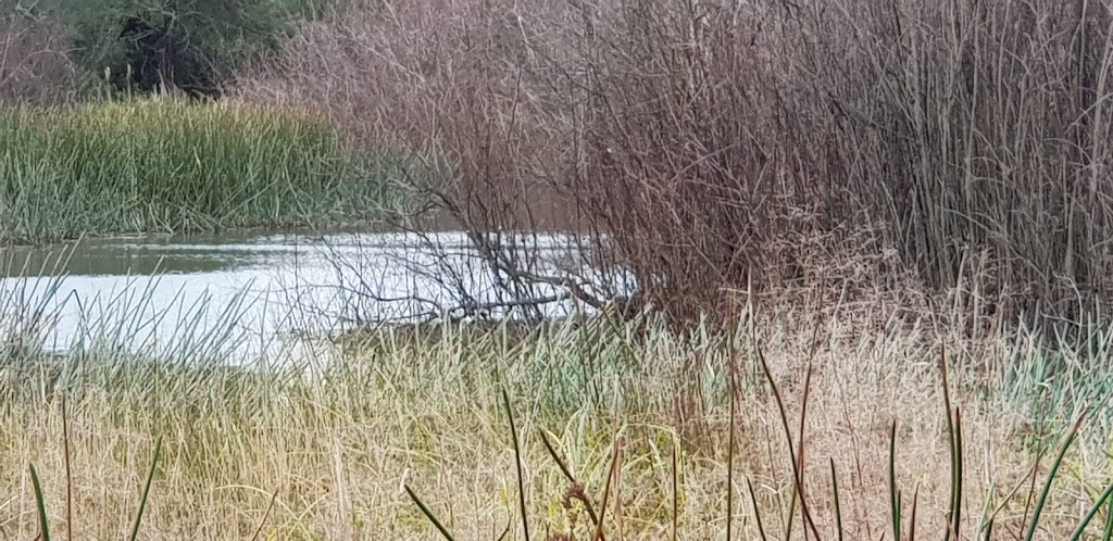 Bird Hide | park | Wantirna VIC 3152, Australia