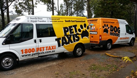 Pet Taxis, Newcastle, Sydney, Central Coast & Hunter Valley | 139C Moira Park Rd, Morisset NSW 2264, Australia | Phone: 0411 738 829