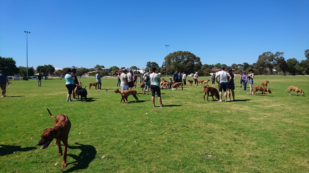 Tom Perrott Reserve | park | McCabe St, Mosman Park WA 6012, Australia