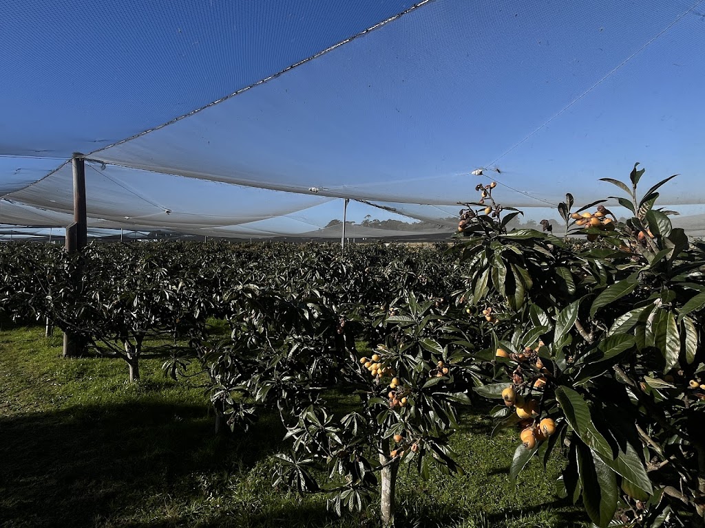 Sanctuary Organic Farm | 140 Niclins Rd, Mangrove Mountain NSW 2250, Australia | Phone: 0478 471 919