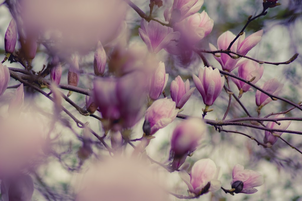 Tranquil thoughts | 35 Janice Way, Sale VIC 3850, Australia | Phone: 0403 797 121