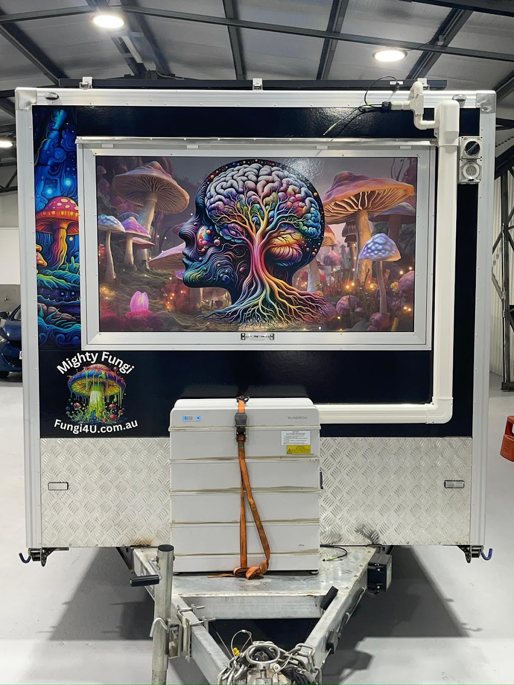 Mighty Fungi | 92651 Bruce Hwy, Balberra QLD 4740, Australia | Phone: 0404 624 956