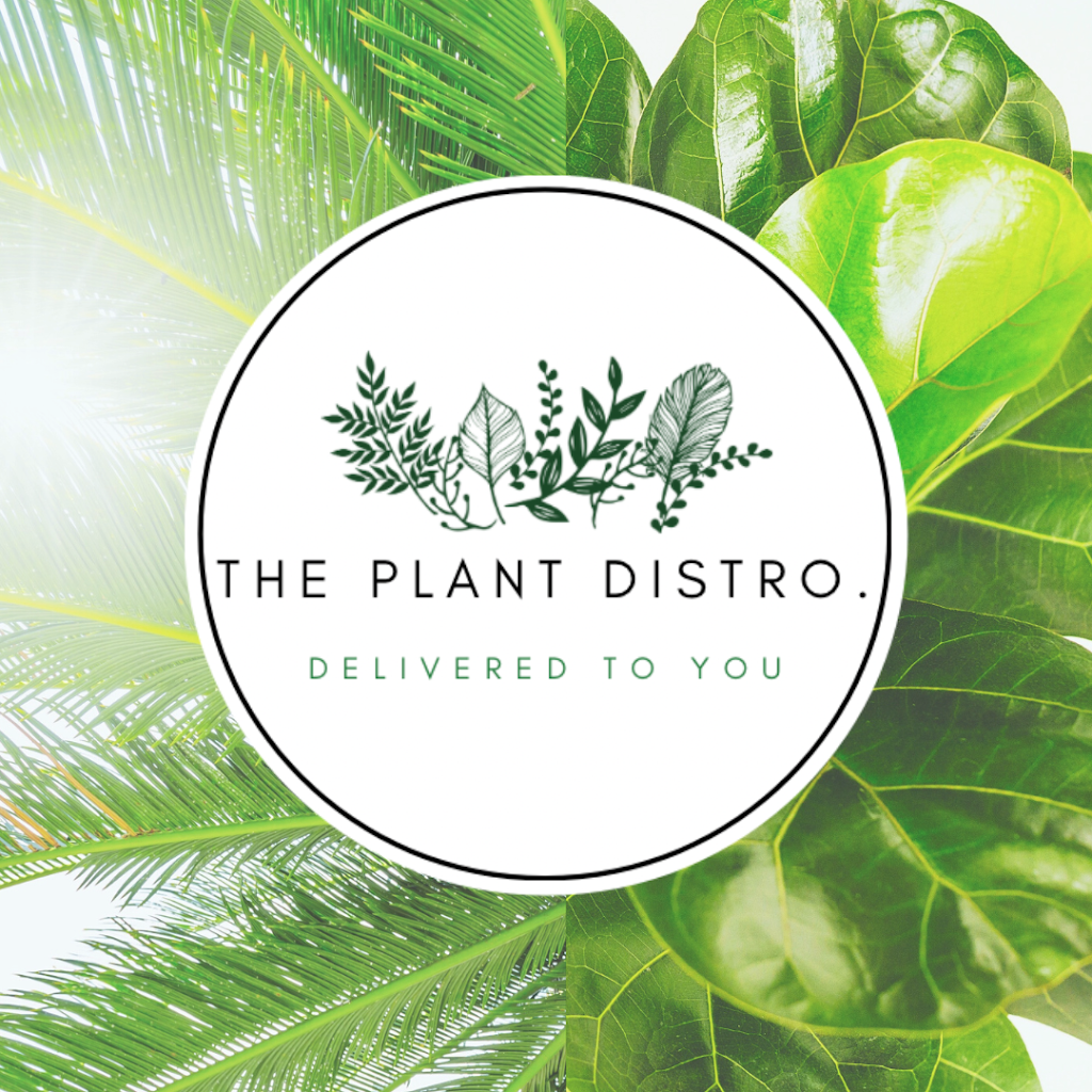 The Plant Distro. |  | 16 Appel St, Canungra QLD 4275, Australia | 0493526205 OR +61 493 526 205