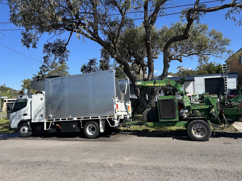 Daly Tree Contracting | 5 Jessie Rd, Anna Bay NSW 2316, Australia | Phone: 0482 476 534