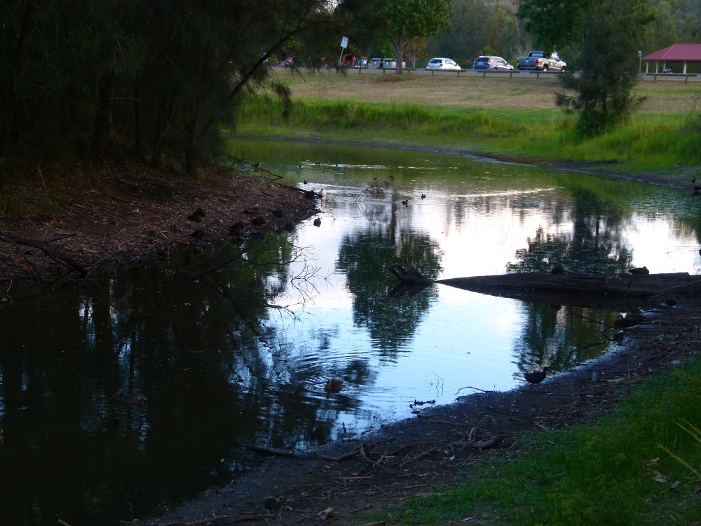 Chinamans Hollow | park | 135 Cessnock Rd, Weston NSW 2326, Australia