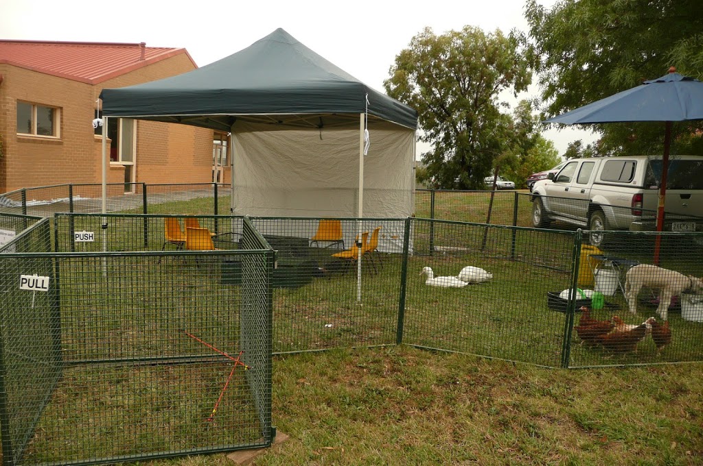 Kirribindi Mobile Animal Farm | Ross Rd, Nambrok VIC 3847, Australia | Phone: 0407 346 230