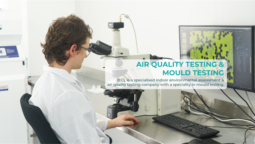 IECL Mould Testing, Mould Inspection Toowoomba |  | E17/2 Lewis St, Torrington QLD 4350, Australia | 1300183958 OR +61 1300 183 958