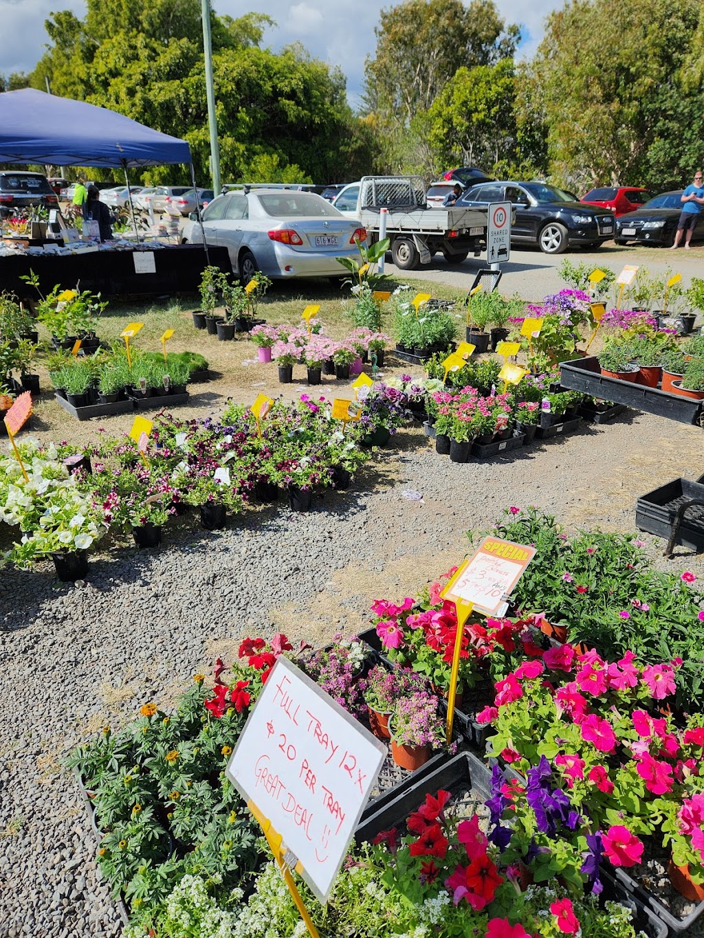 Mount Gravatt Showgrounds | 1644 Logan Rd, Mount Gravatt QLD 4122, Australia | Phone: (07) 3343 2322