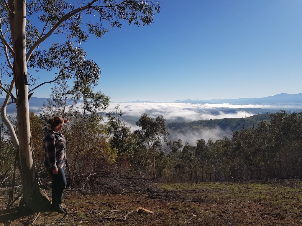 Mt Millan Lookout | park | Omeo VIC 3898, Australia