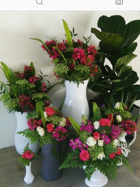 Farlows Floriculture | florist | 593 Bells Creek Rd, Bells Creek QLD 4551, Australia | 0402081048 OR +61 402 081 048