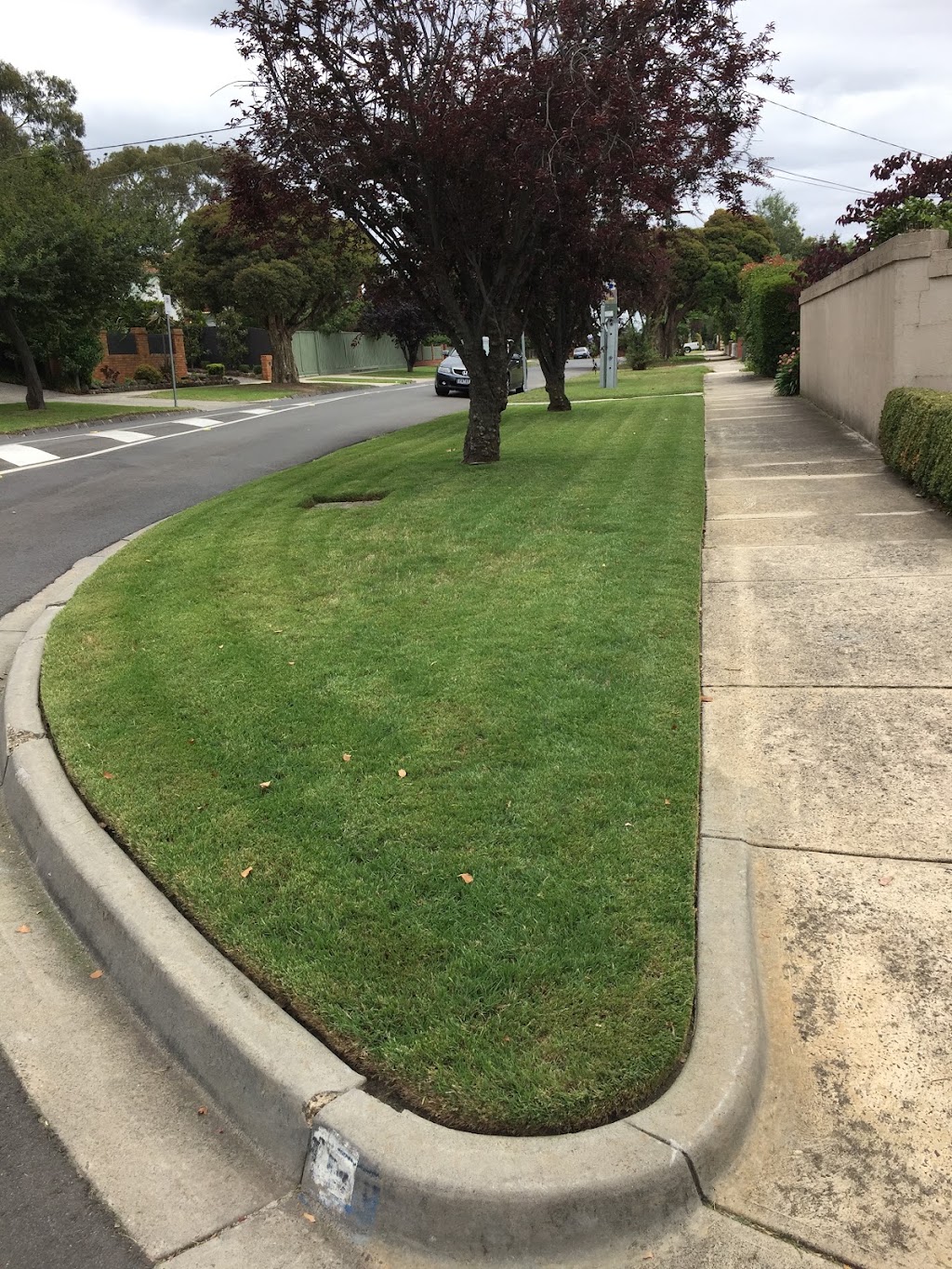 Urban Grasscutter | 14 Bardsley Ct, Narre Warren VIC 3804, Australia | Phone: 0431 517 801