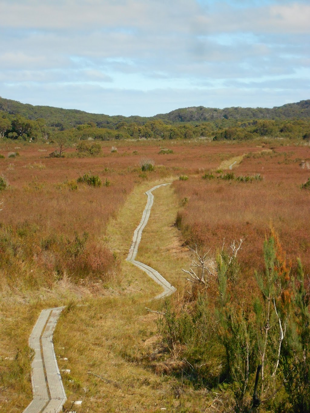 Southwest Conserve Area South Cape Bay Walk Recherche | park | Recherche TAS 7109, Australia