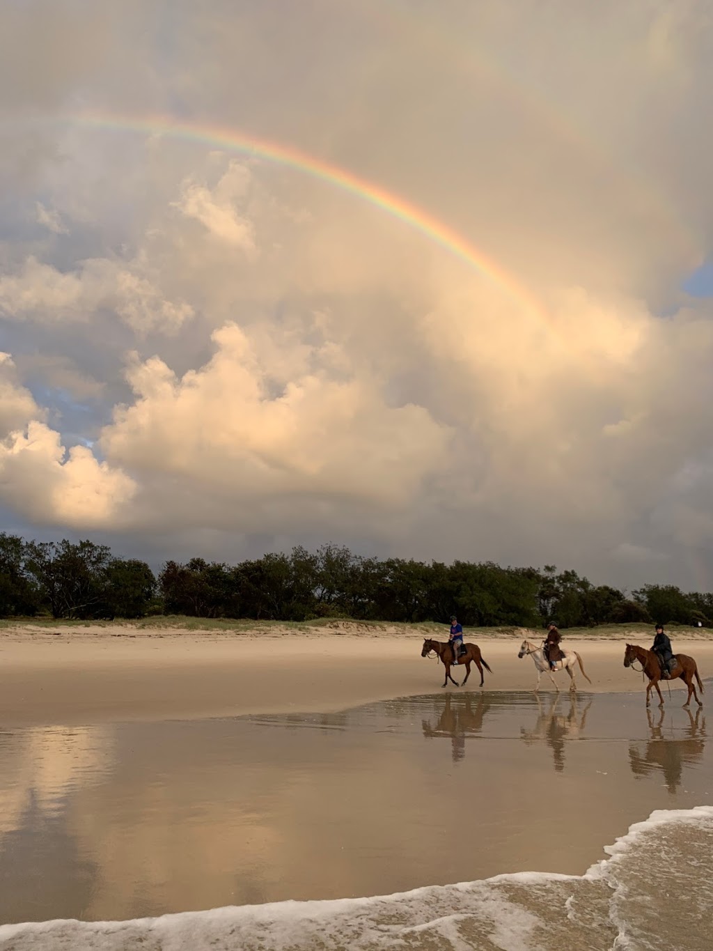 The Ranch Byron Bay Brunswick Beach Ride Brunswick Heads |  | S Beach Rd, Brunswick Heads NSW 2483, Australia | 0408752181 OR +61 408 752 181