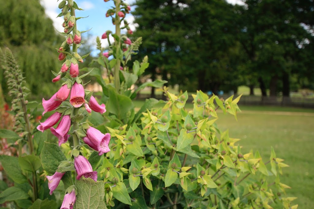 Officers Gardens | Champ St, Port Arthur TAS 7182, Australia