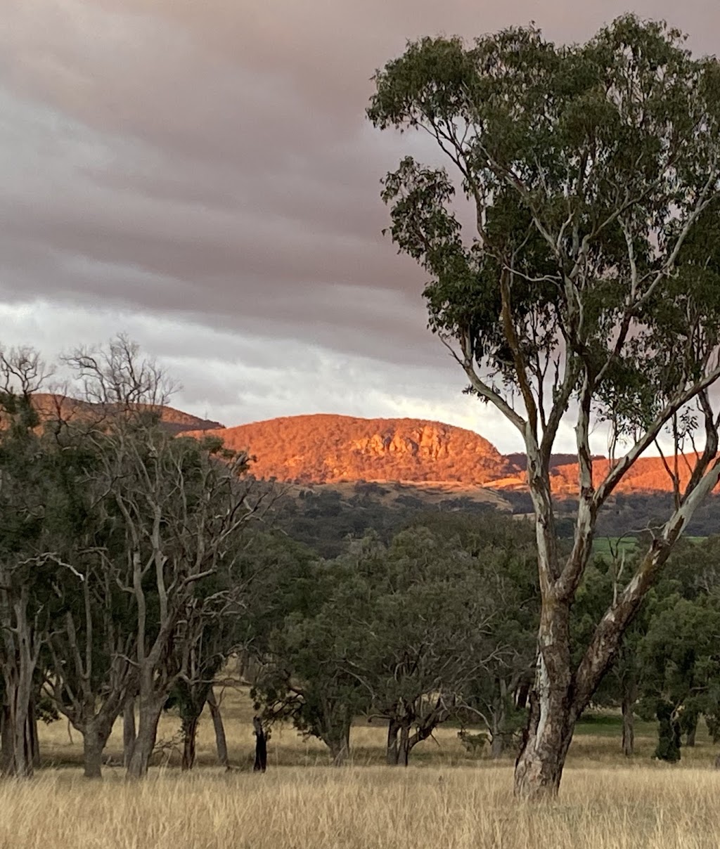 The Barn at 417 | 417 Crawney Rd, Nundle NSW 2340, Australia | Phone: 0490 094 810