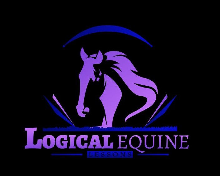 Logical Equine Lessons | 795 Avenue Rd, Ellangowan NSW 2470, Australia | Phone: 0402 748 692