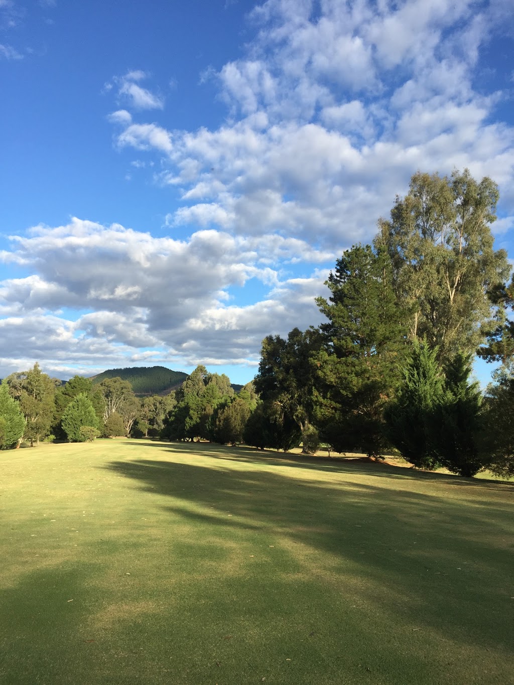 Myrtleford Golf Club | 251 Myrtleford-Yackandandah Rd, Myrtleford VIC 3737, Australia | Phone: (03) 5752 2286