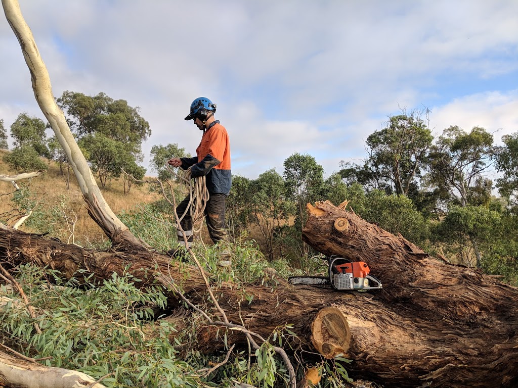 Boots Tree Services | 2 Stanley St, Tweed Heads NSW 2485, Australia | Phone: 0424 442 966