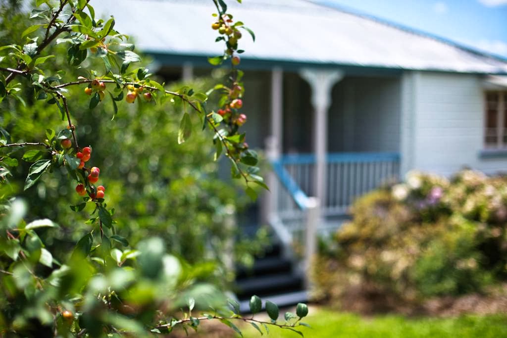 Apple Blossom Cottage | real estate agency | 14 Omara Terrace, Stanthorpe QLD 4380, Australia | 0746810251 OR +61 7 4681 0251