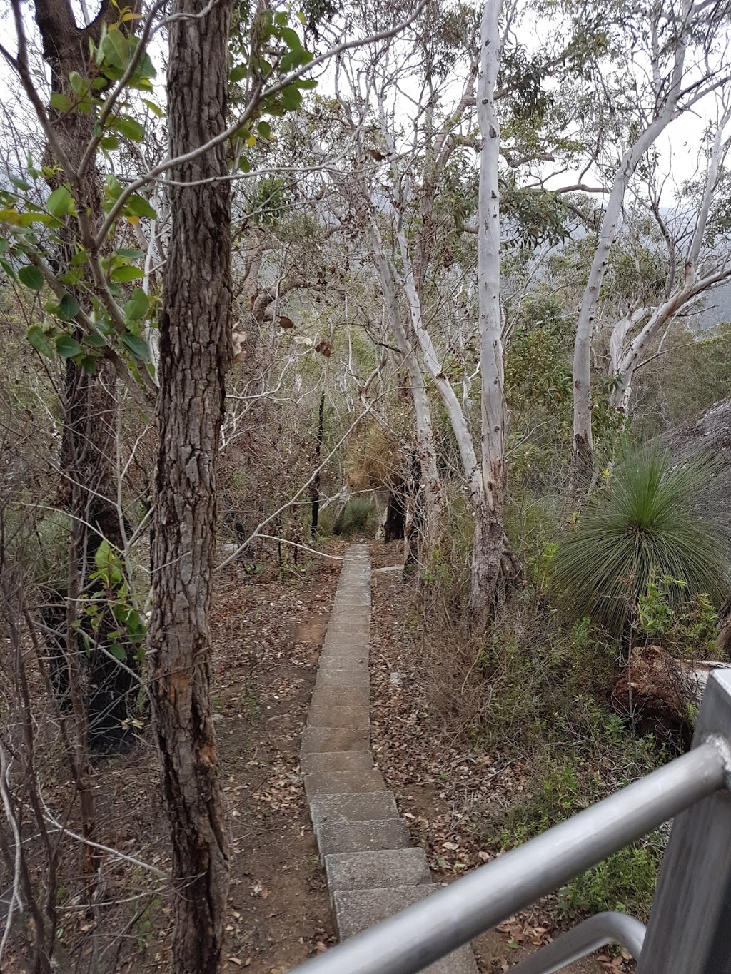 Mount Frankland National Park | park | North Walpole WA 6398, Australia