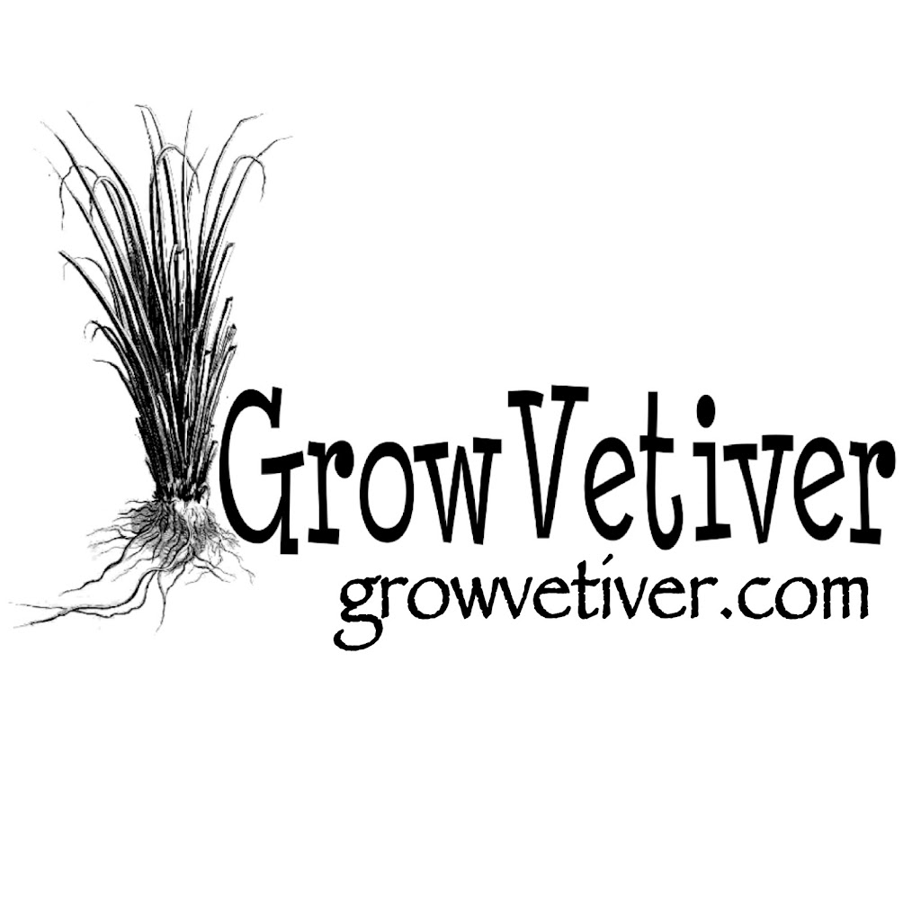 GrowVetiver | 16 Lalroy St, Beachmere QLD 4510, Australia | Phone: 0499 728 372