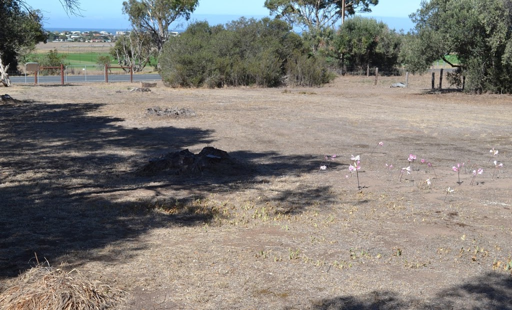 Little Glory Cemetery | cemetery | 176 Waterport Rd, Port Elliot SA 5212, Australia