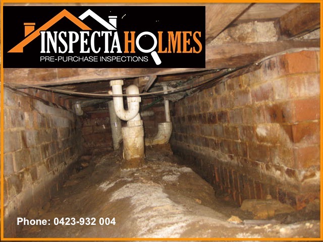 INSPECTA HOLMES Building and Pest Inspections Wollongong | 2 Phillips Cres, Mangerton NSW 2500, Australia | Phone: 0423 932 004