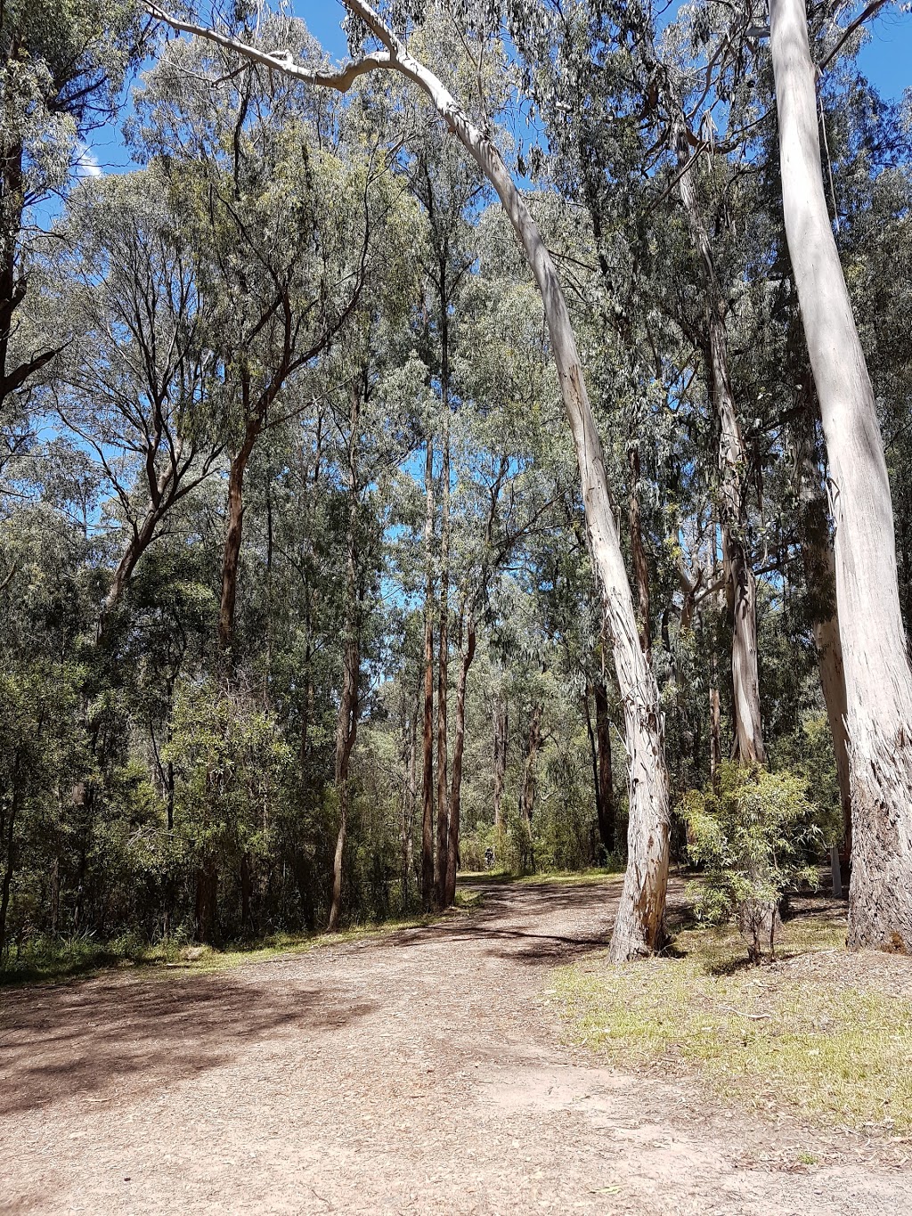 Carters Mill Campground | campground | Mirimbah VIC 3722, Australia | 136186 OR +61 136186