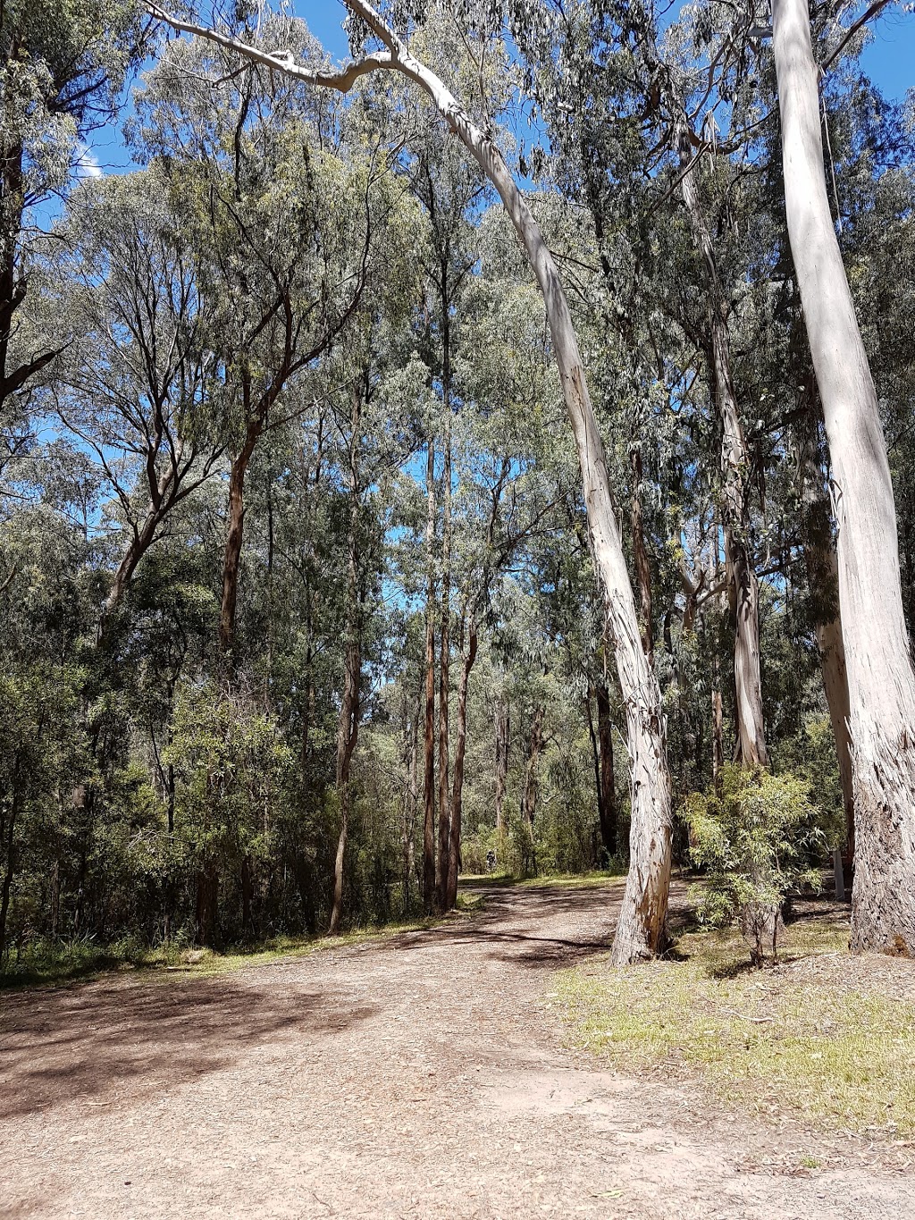 Carters Mill Campground | Mirimbah VIC 3722, Australia | Phone: 13 61 86