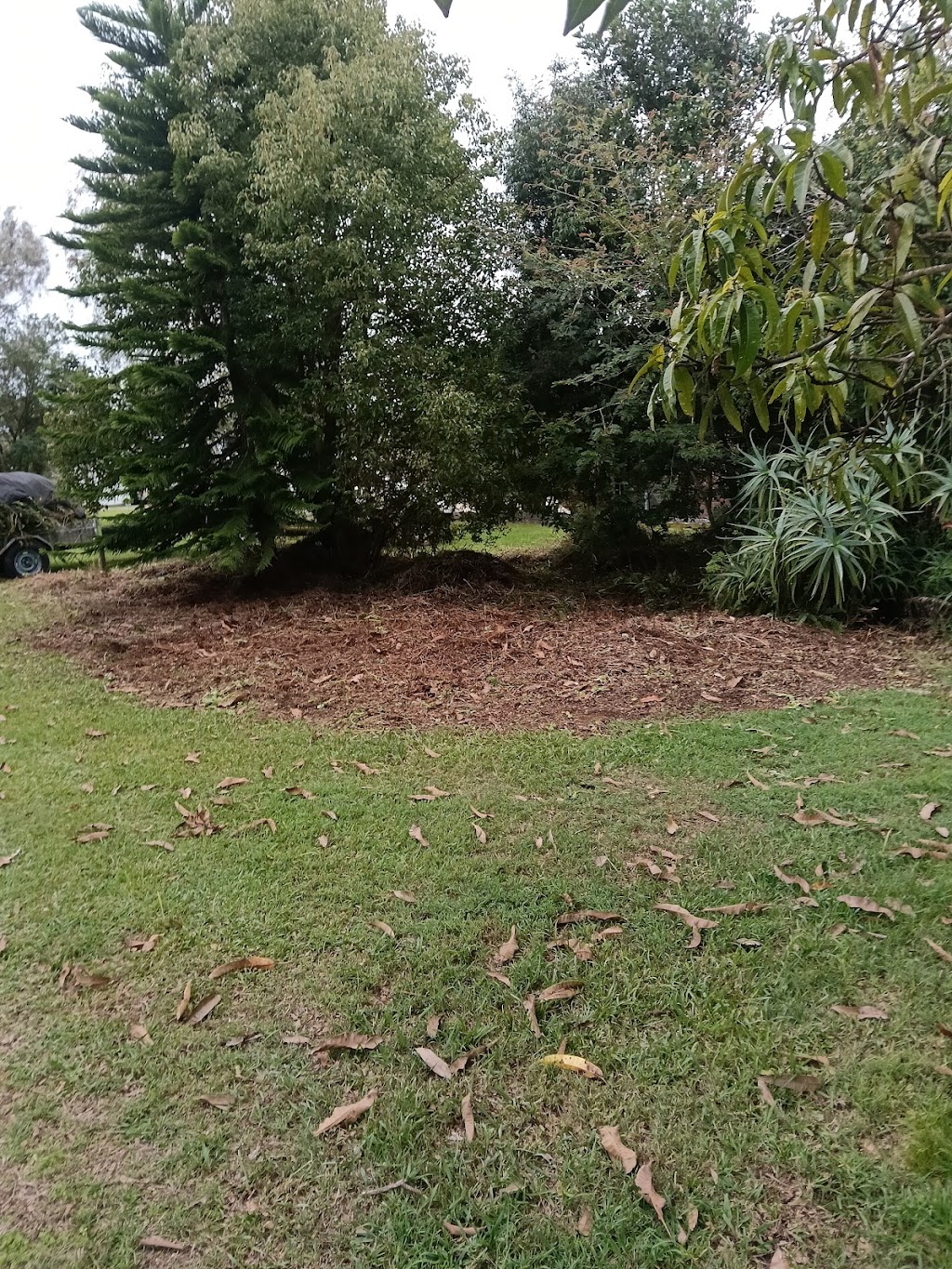 Essential Scotty Pty Ltd | Ryries Rd, Lawrence NSW 2460, Australia | Phone: 0459 419 420