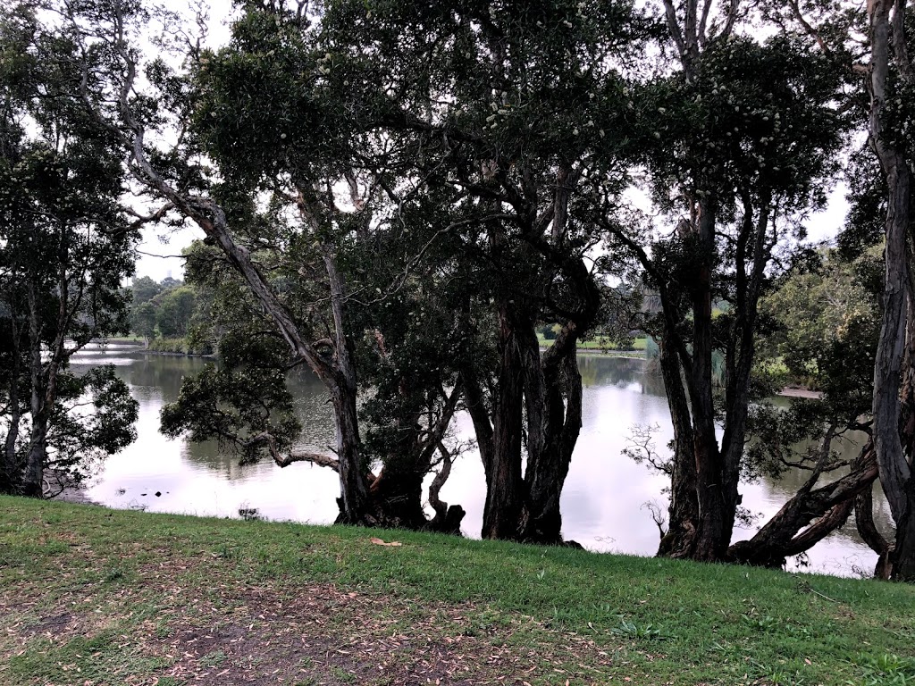 Busbys Promontory | park | Dickens Dr, Centennial Park NSW 2021, Australia